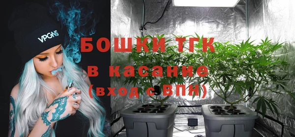 метадон Касимов