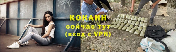 дмт Козловка